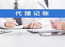 滄浪區企業稅務籌劃與代理服務指南